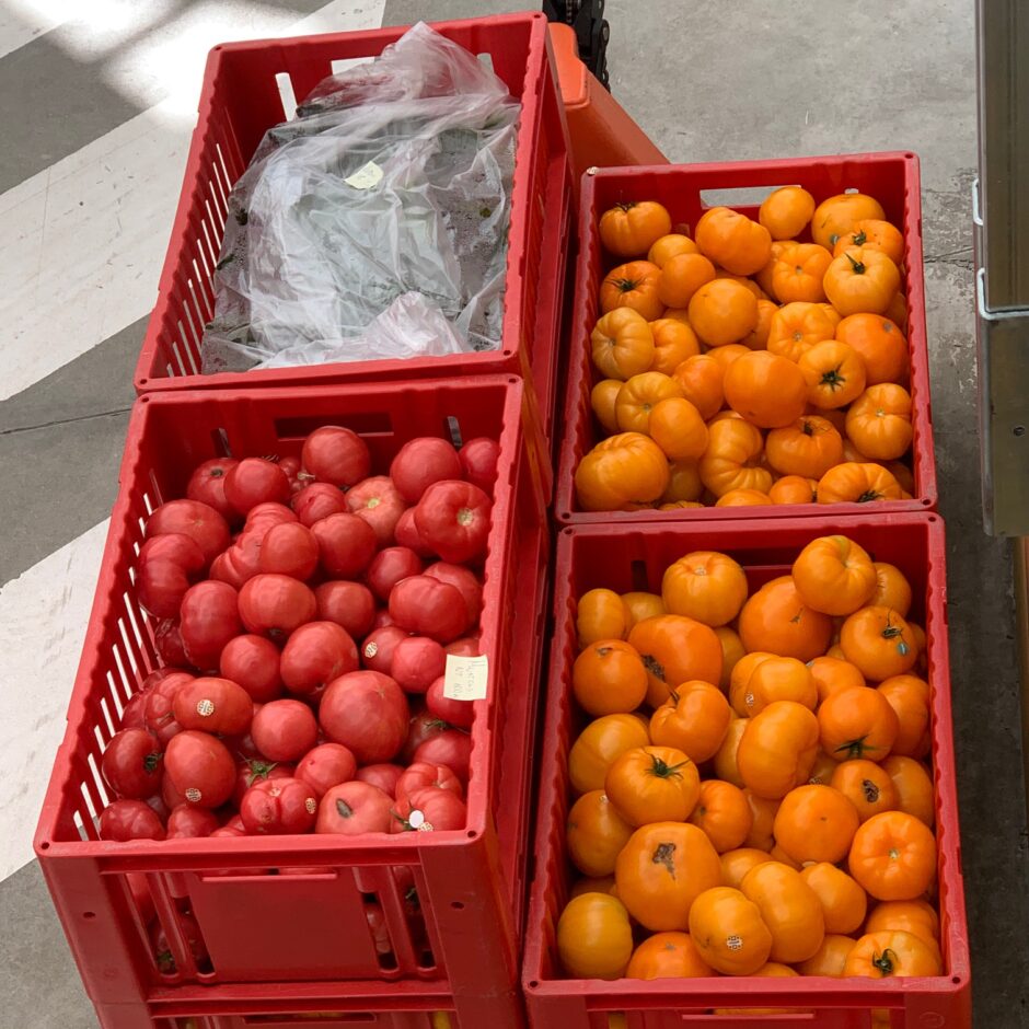 Attēlā redzami 7.c un 7.e skolēni ekskursijā GetliņiEko