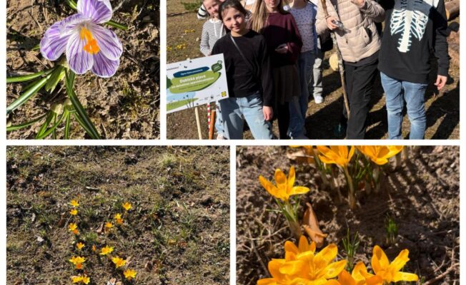Projekta “Ielaid skolā dabu!” attēlu kolāža